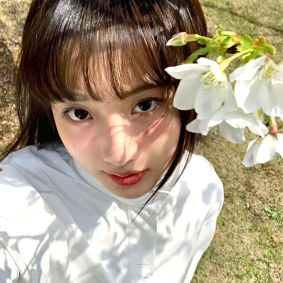 阿基拉和拼字大赛